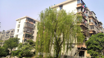 杭州萧山崇化小区